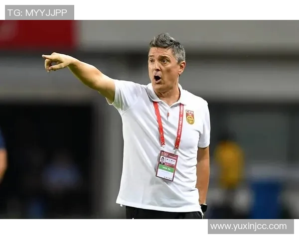 马来西亚足球明星身价揭秘及其对国内足球发展的影响分析